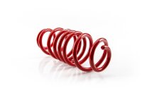 MTS Hinterachse Tieferlegungsfedern 0/40 Daihatsu CUORE III (L2)