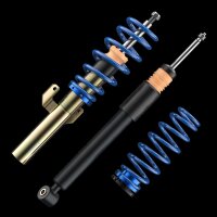ap Gewindefahrwerk BMW M5 E39 M539 Lim.