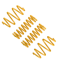 ST Federn 30/30 Seat Altea XL, 5P 1,4i, 1,6i, ohne Automatik